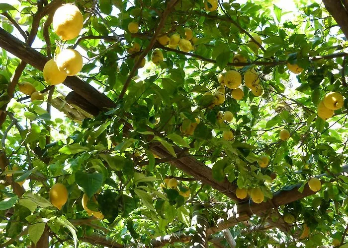 Marina Grande & 公寓 *